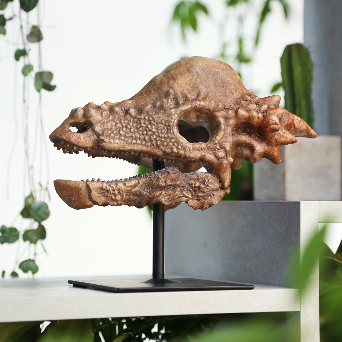 Pachycephalosaurus