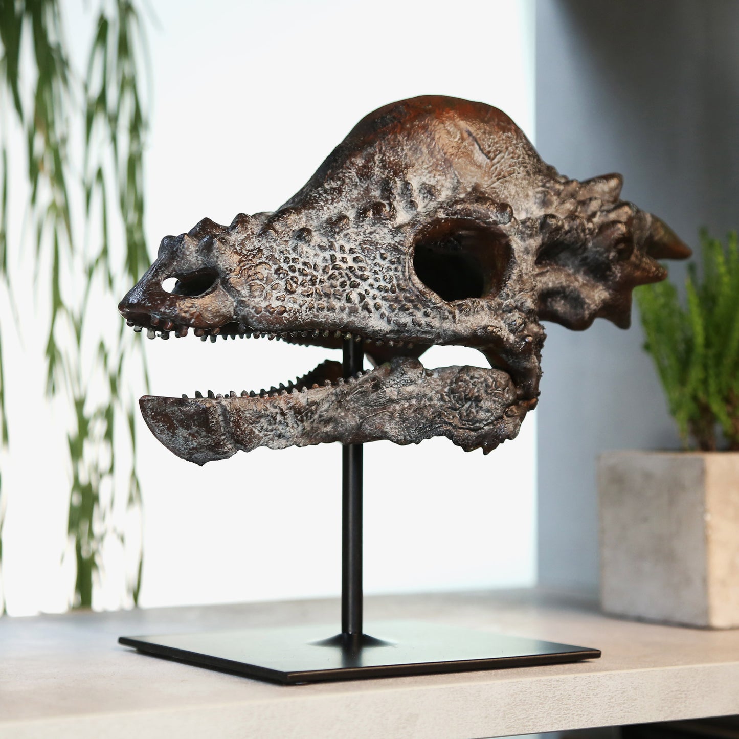 Pachycephalosaurus