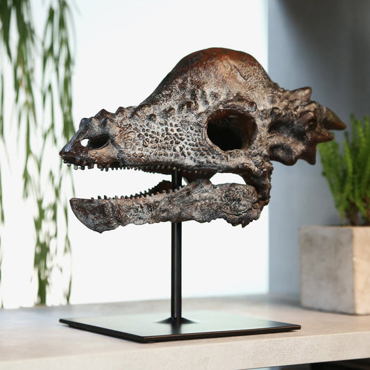 Pachycephalosaurus