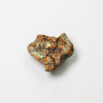Pallasite Meteorite