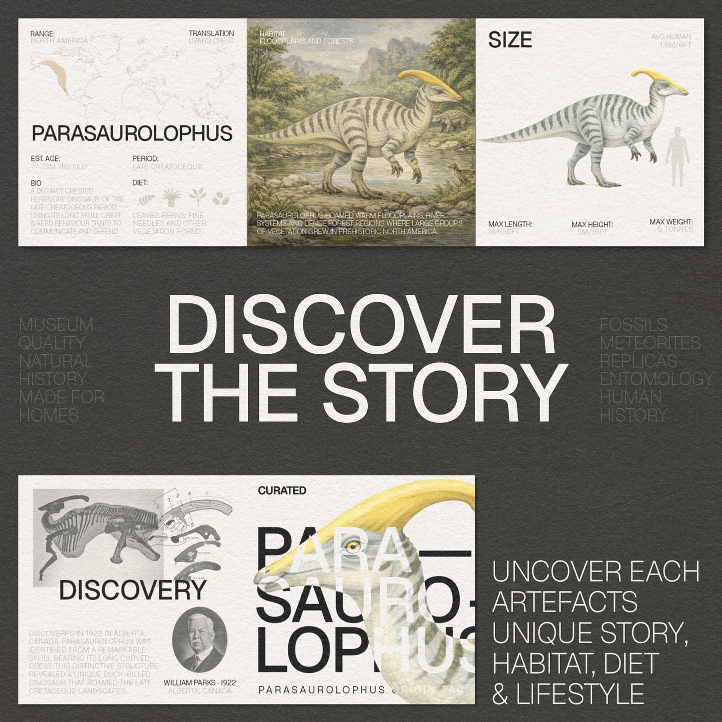 Parasaurolophus