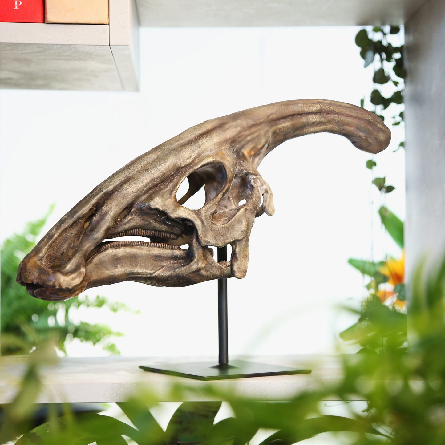 Parasaurolophus
