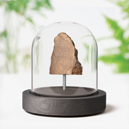 Polished Chondrite Meteorite