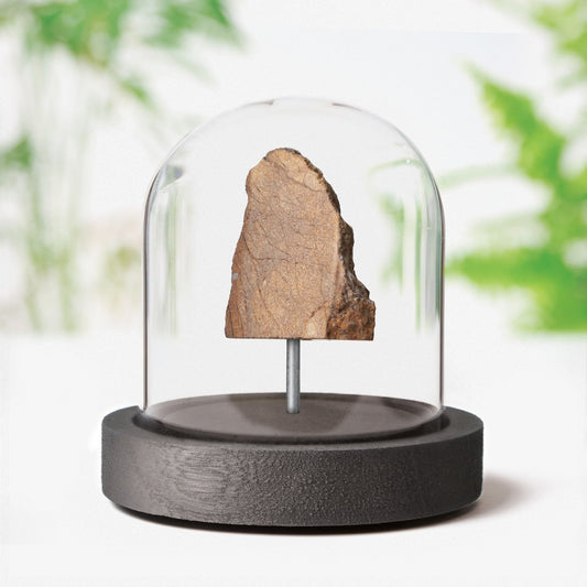 Polished Chondrite Meteorite