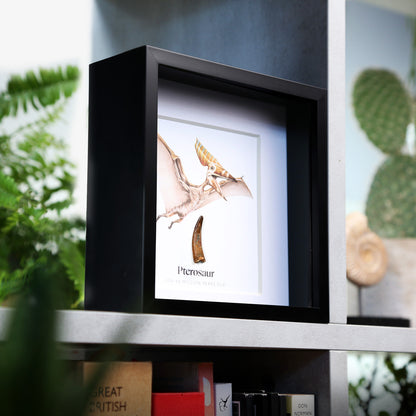Pterosaur Tooth