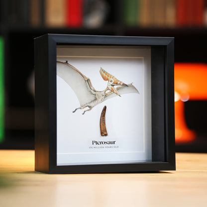 Pterosaur Tooth