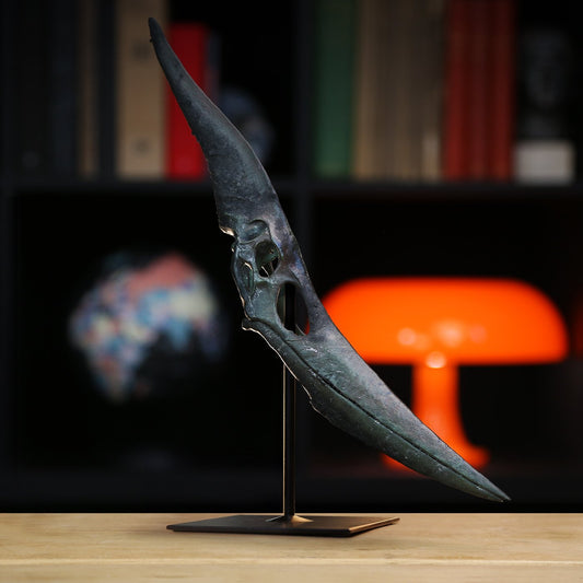 Pterosaur