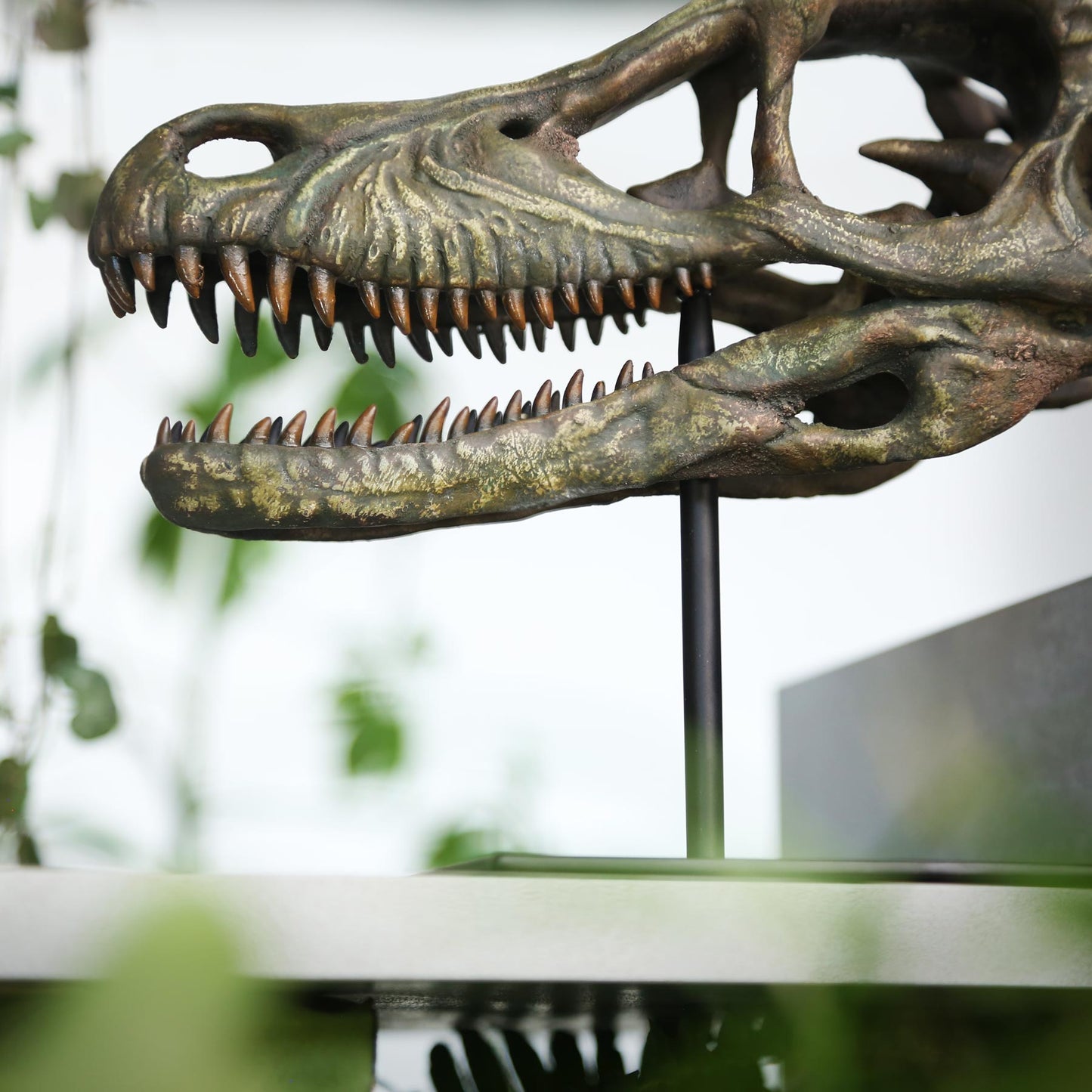 Velociraptor