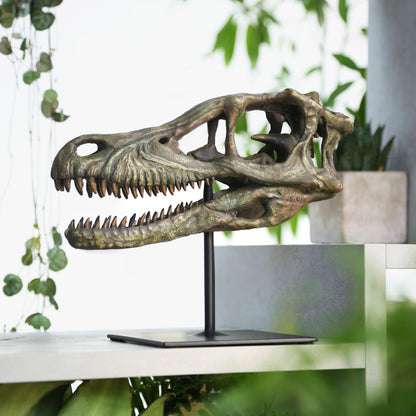 Velociraptor