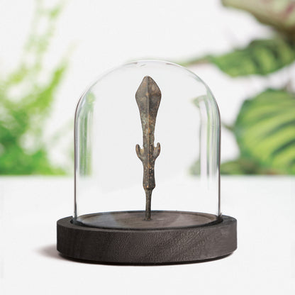 Roman Javelin Tip