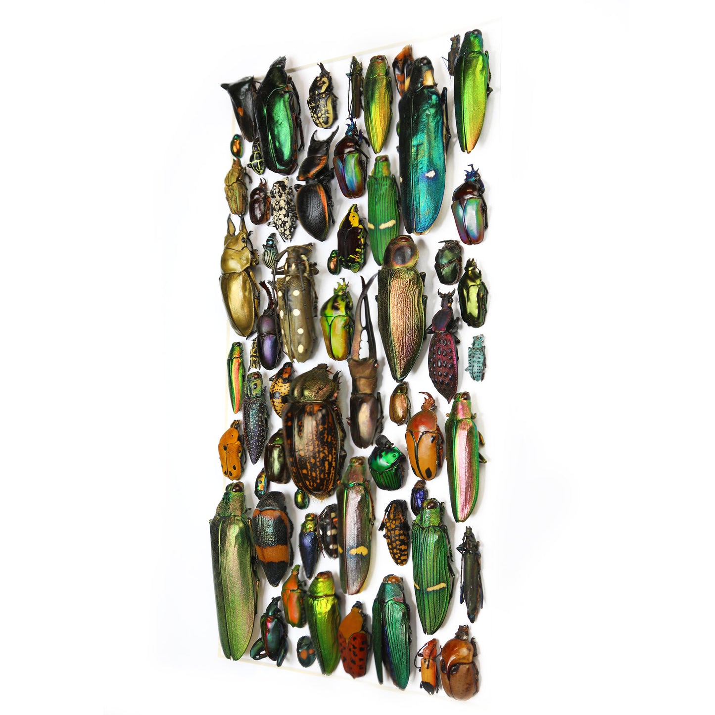 Iridescent Mosaic
