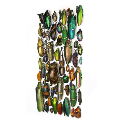 Iridescent Mosaic