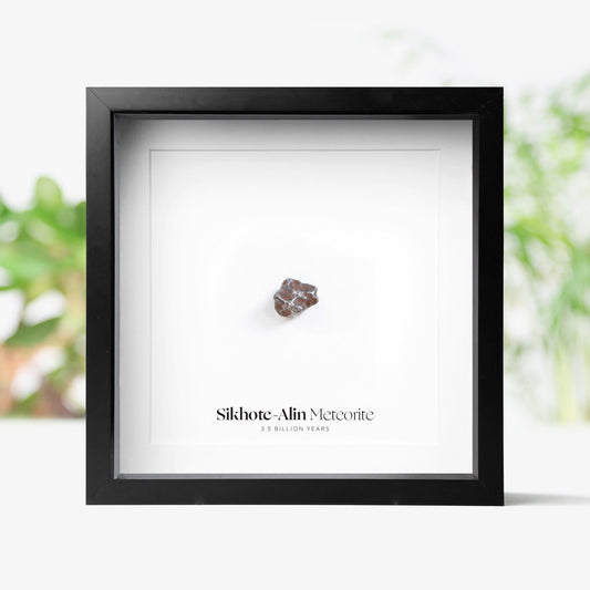 Sikhote-Alin Meteorite Fragment