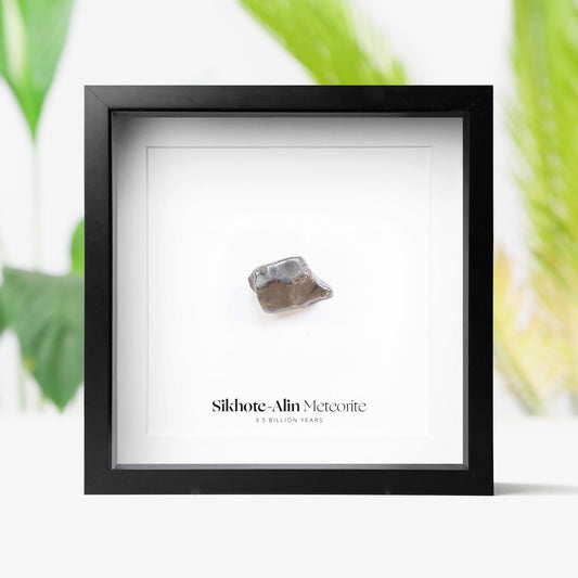 Sikhote-Alin Meteorite
