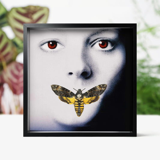 Silence of the Lambs Death's Head Hawkmoth