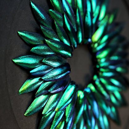 Amaryllis Metamorphosis Elytra Beetle Wing Mosaic