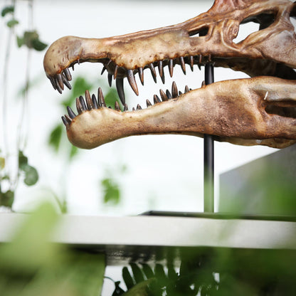 Spinosaurus