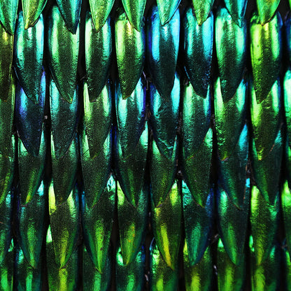 Zeleney Metamorphosis  Elytra Beetle Wing Mosaic