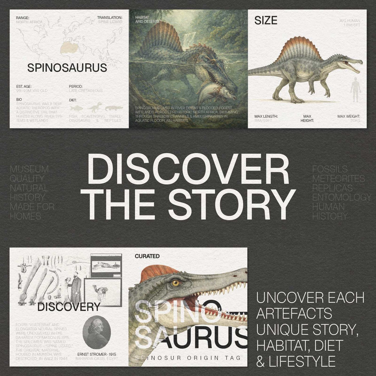 Spinosaurus