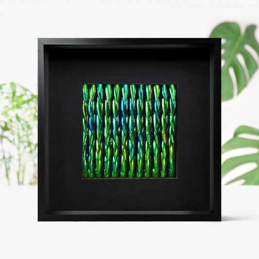 Zeleney Metamorphosis  Elytra Beetle Wing Mosaic