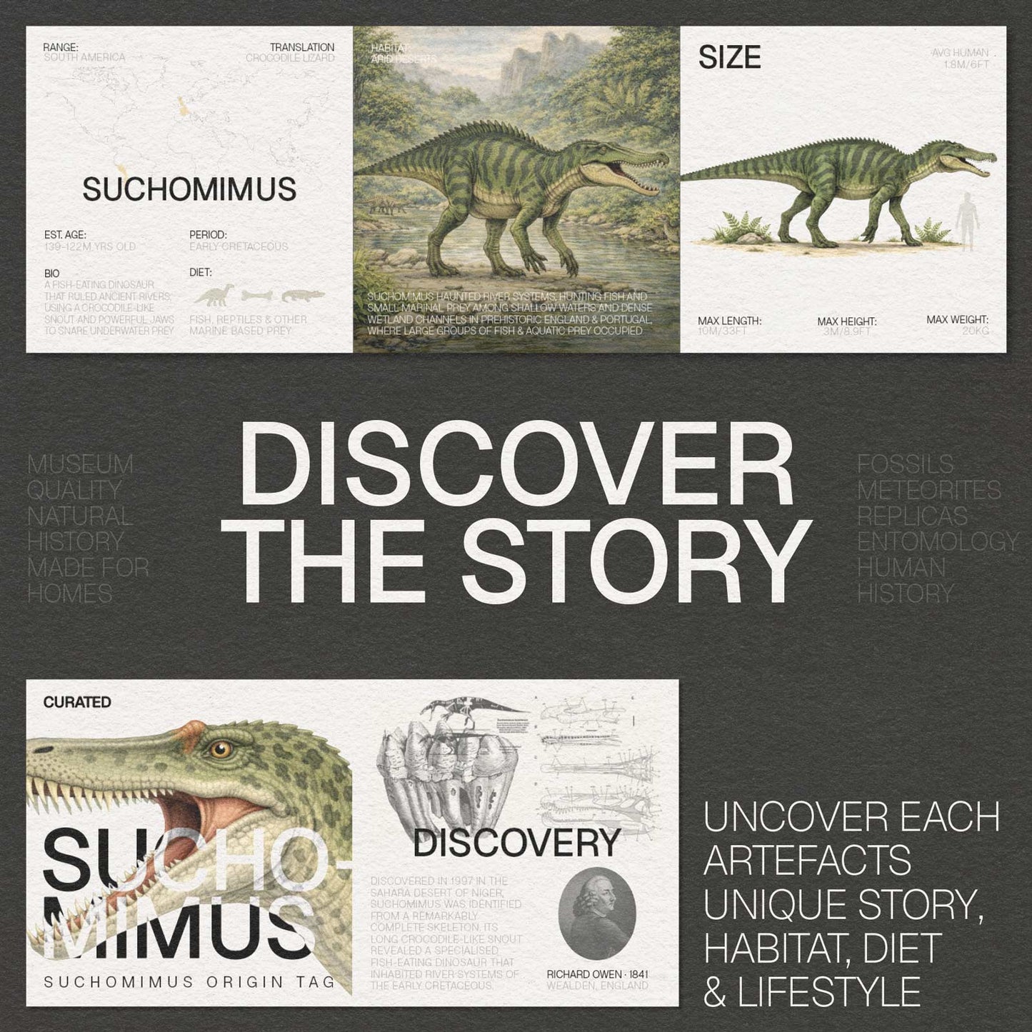 Suchomimus