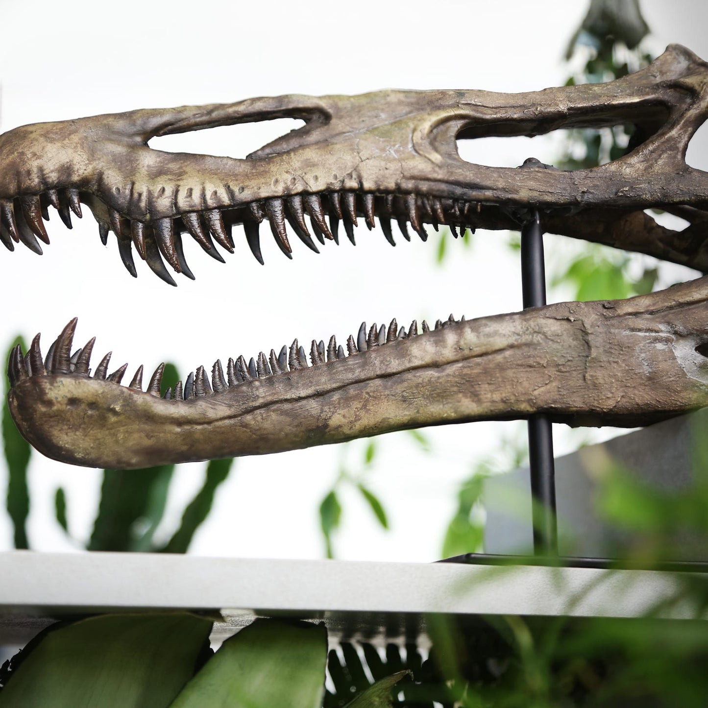 Suchomimus