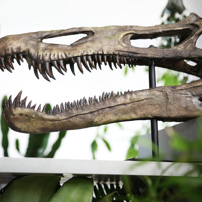 Suchomimus