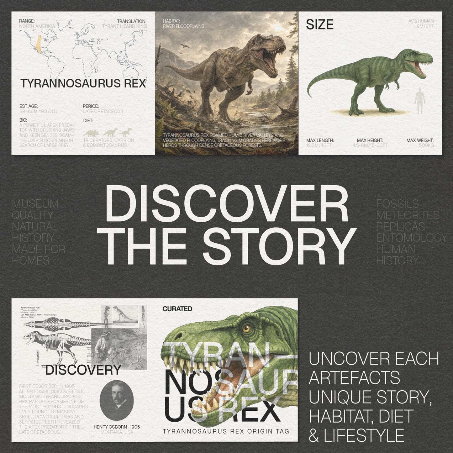 Tyrannosaurus Rex