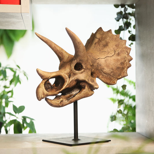 Triceratops