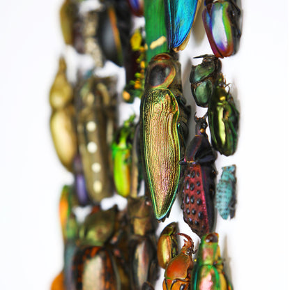 Iridescent Mosaic