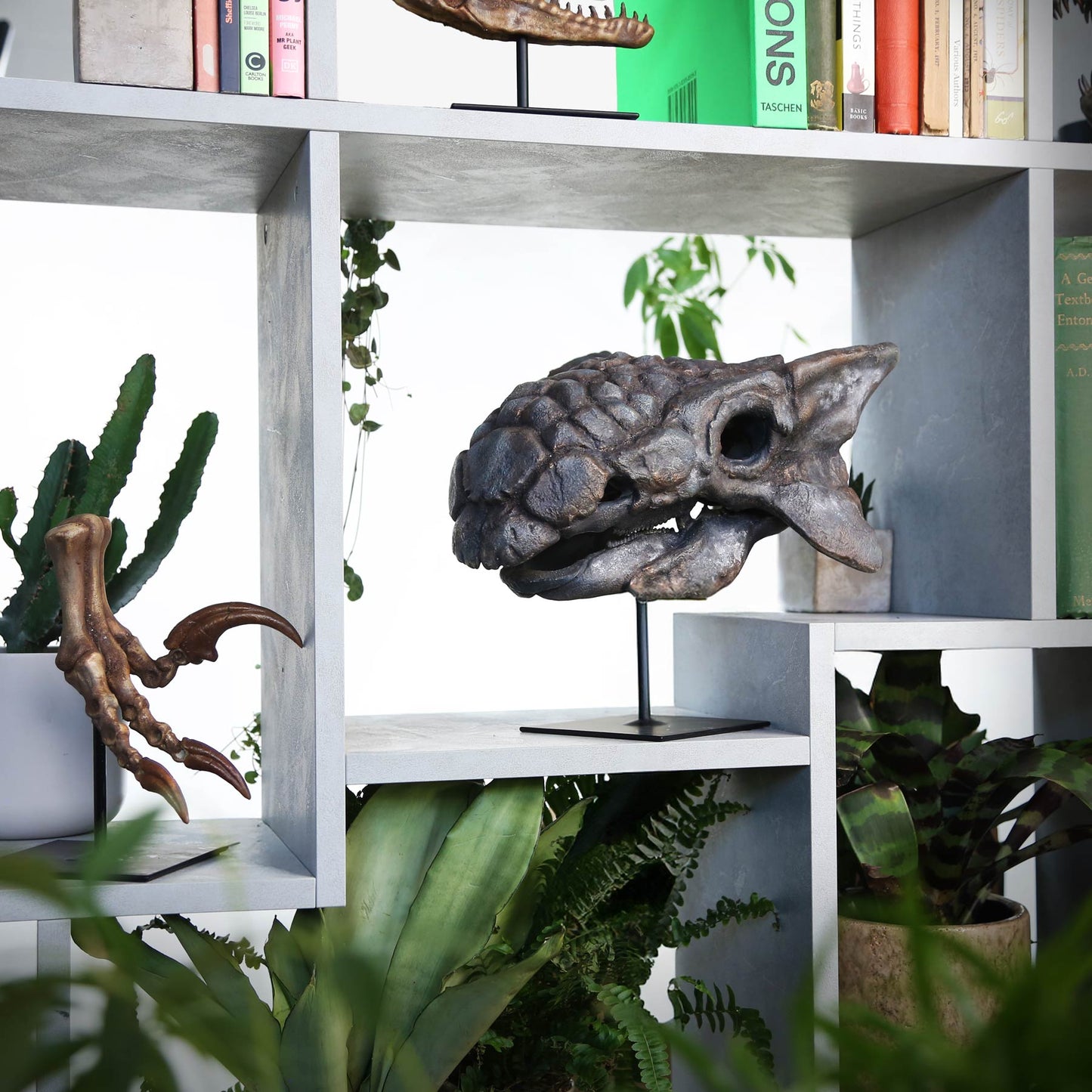 Ankylosaurus