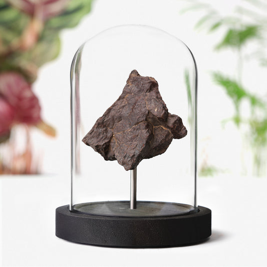 Large Chondrite Meteorite