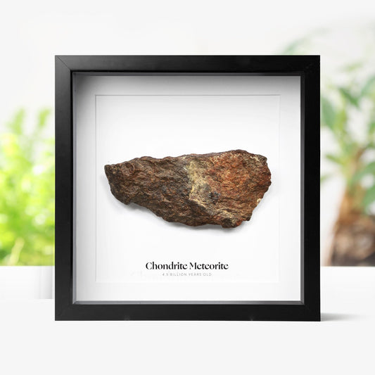 Large Chondrite Meteorite