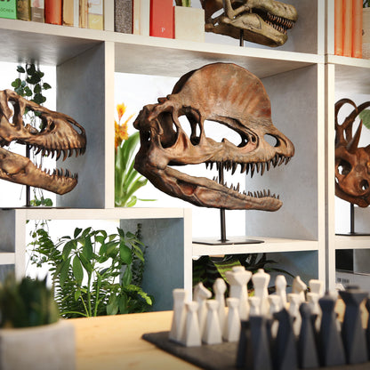 Dilophosaurus