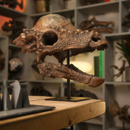 Pachycephalosaurus