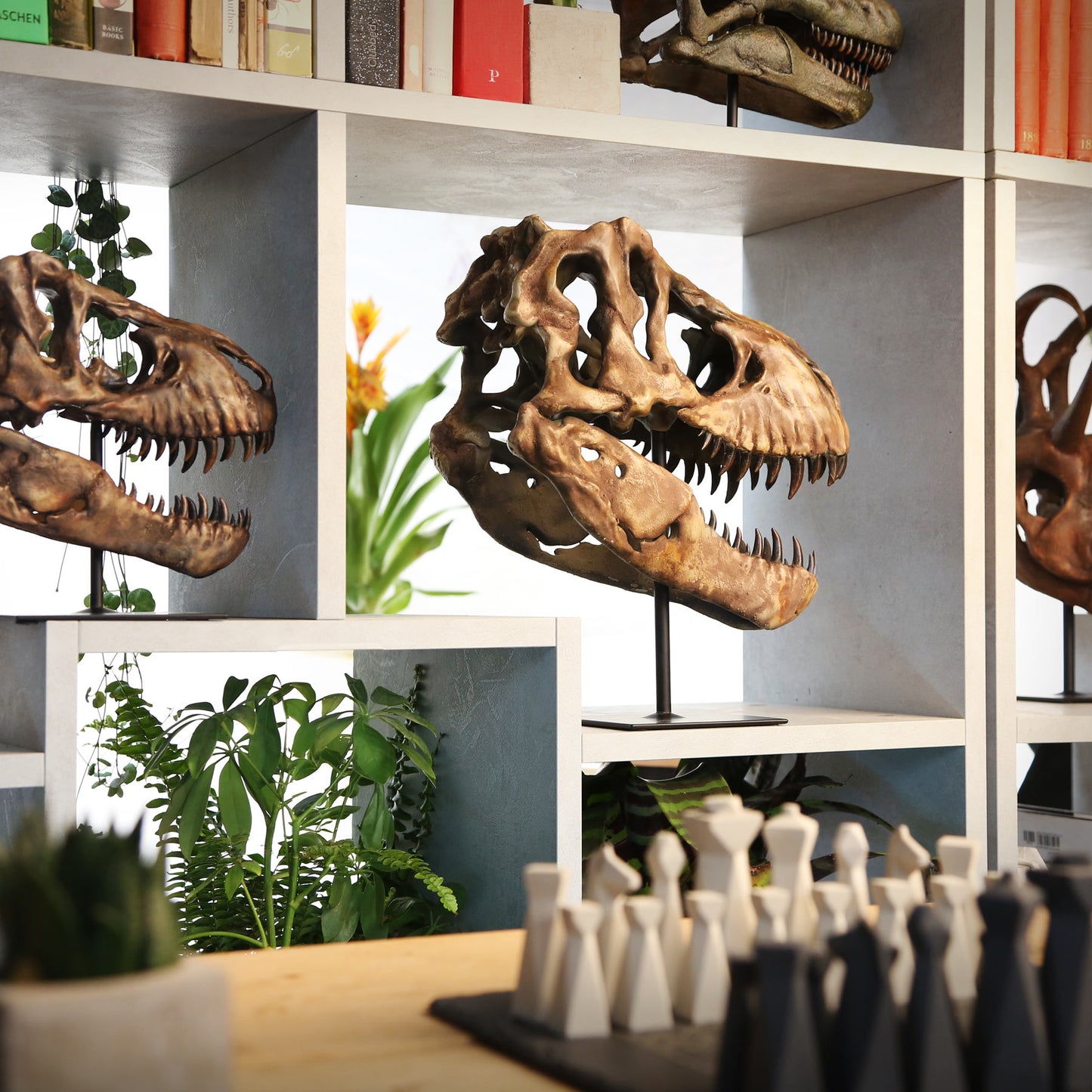 Tyrannosaurus Rex